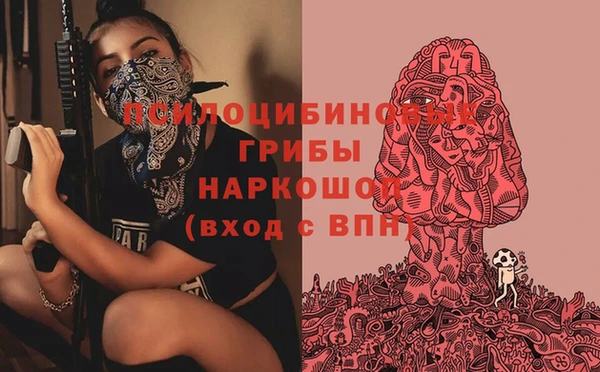 кокс Алексеевка